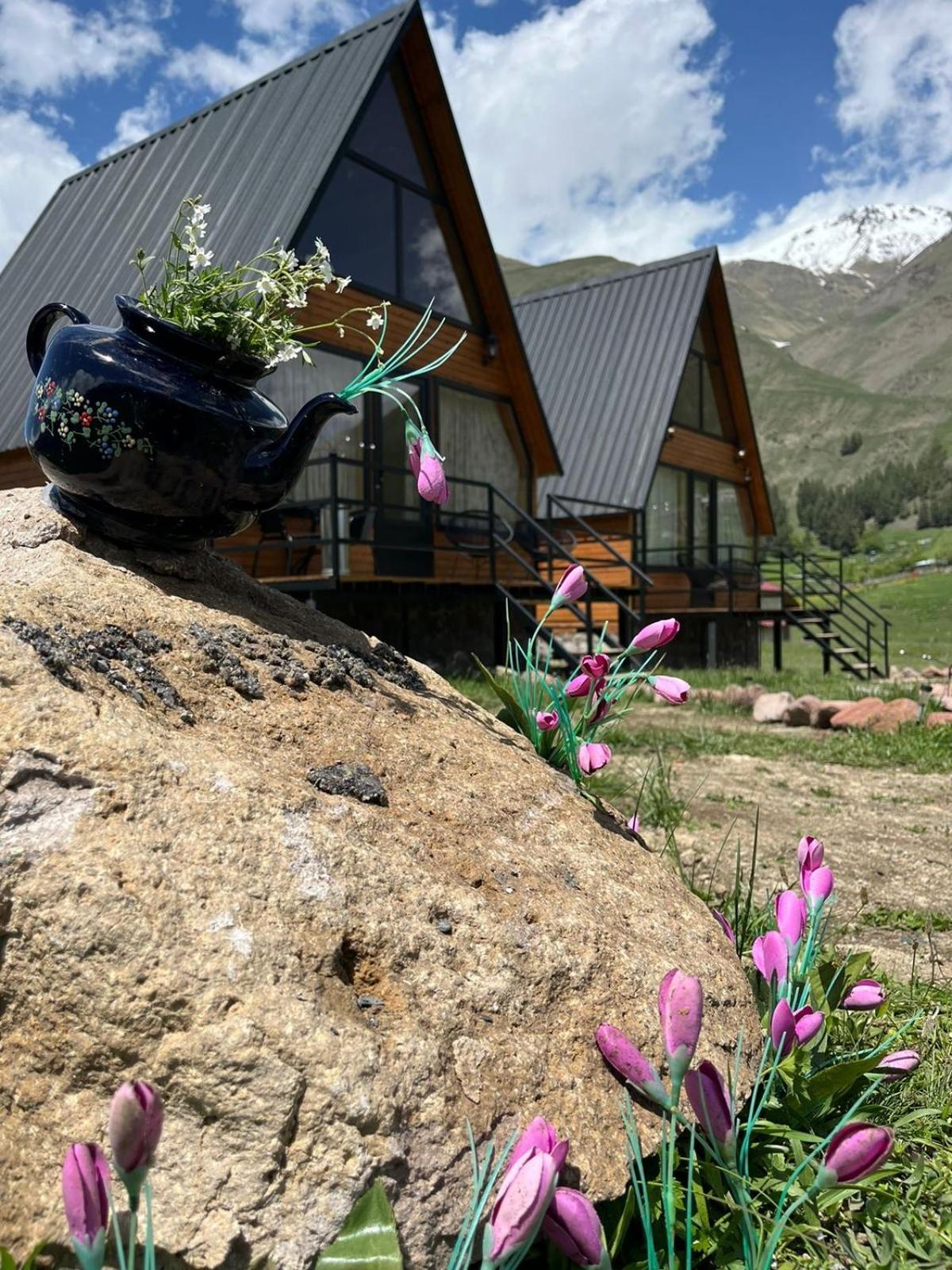 Mtisguli Cottages คัซเบกี ภายนอก รูปภาพ